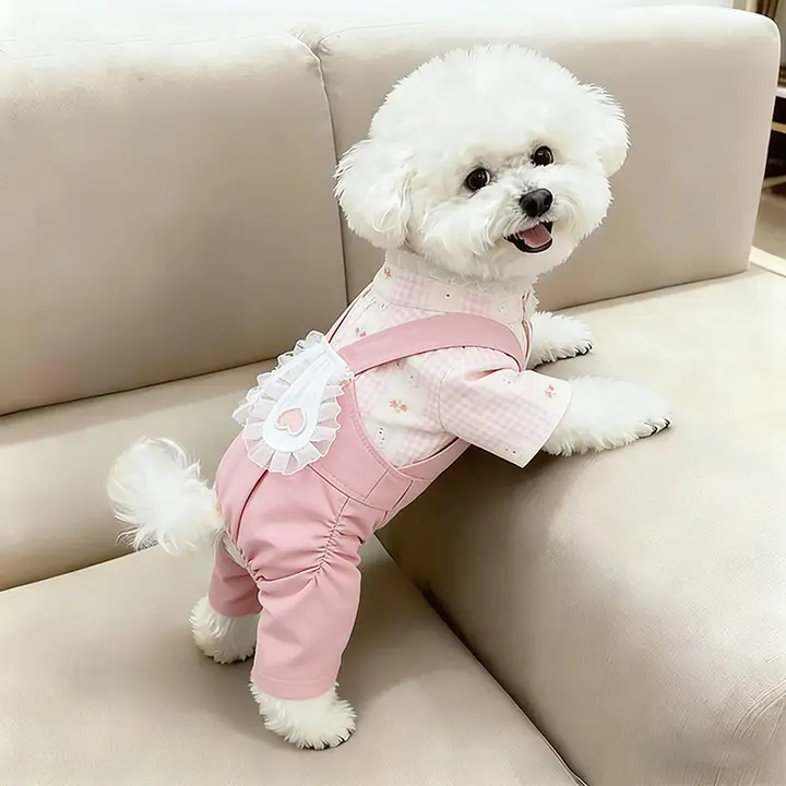 薄手夏用犬服【春夏用・うさぎ耳付き・小型犬用・四脚デザイン】（セットアップ対応）
