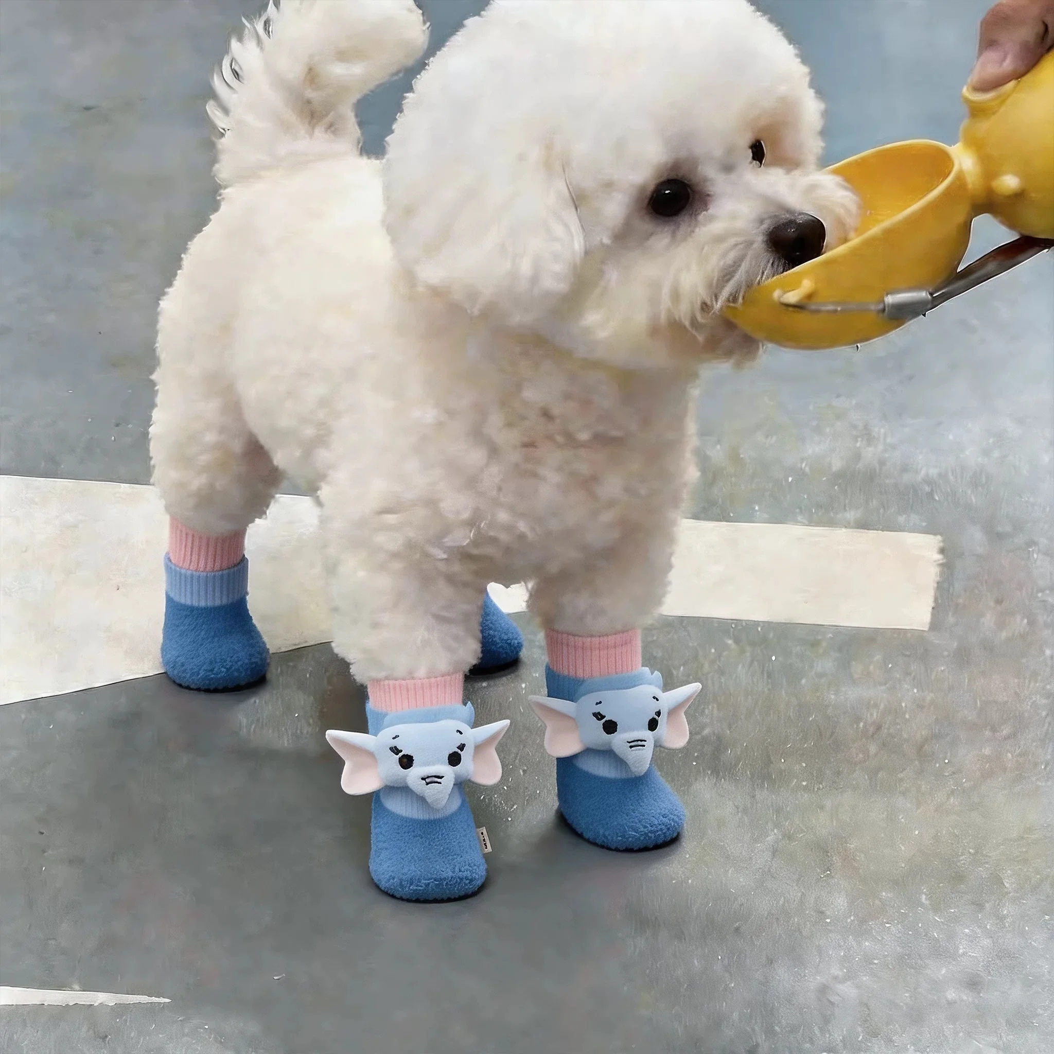 小さな犬が夏を快適に過ごせる、通気性と見た目を兼ね備えたシューズは？
