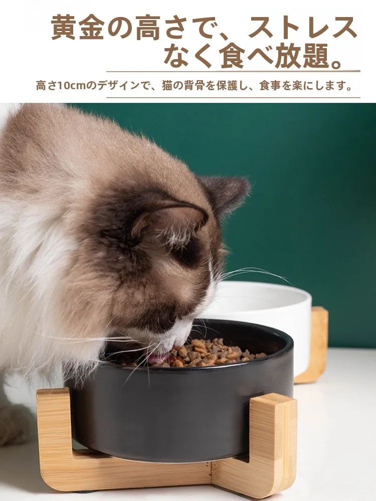 猫飼いが買ってよかったもの・悪かったもの正直に言う：猫用セラミックボウルの実用性と設計原理