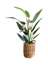 大型パラダイスバード グリーン植物 ポット 植物 インテリア 北欧スタイル