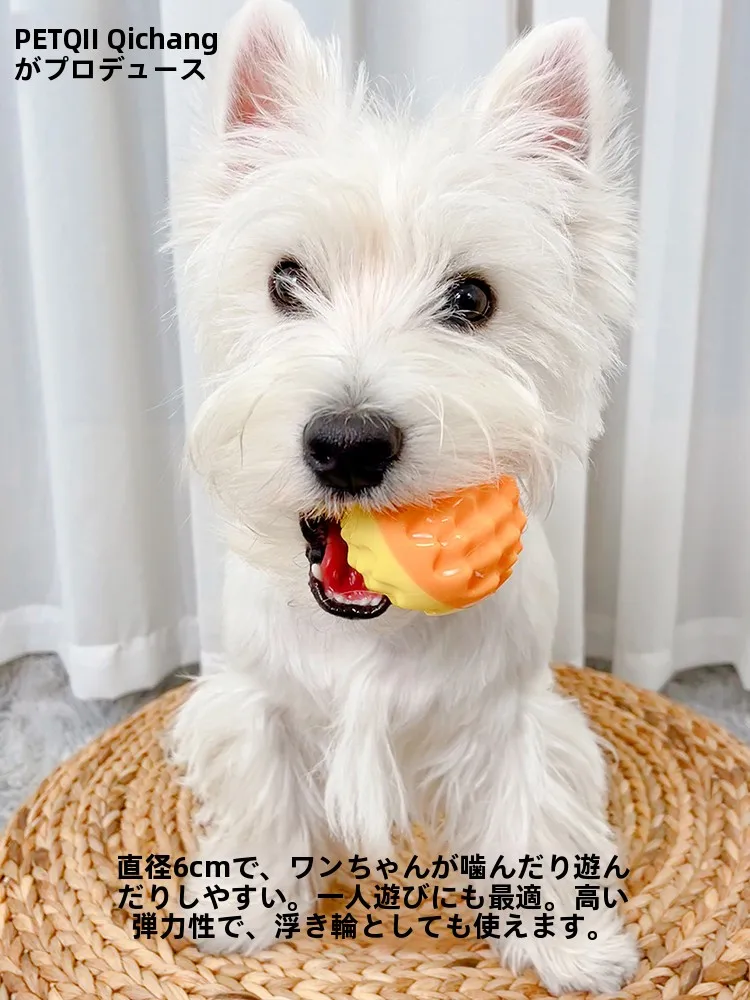 犬用フリスビーをどう選ぶ？音声機能付きの「溶岩サウンドボール」がなぜ今人気なのか