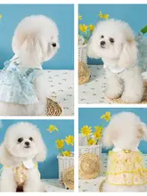 犬用プリンセススタイルワンピース【夏用・薄手・テディベア・ヨークシャー・小型犬用】