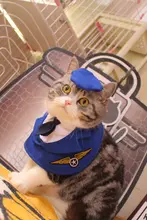 可愛いパイロット制服のペット用服【首巻きデザイン・猫と犬用・飛行機のコスチューム】