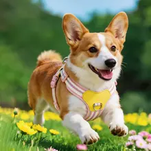 中小型犬用透気性ハーネス付リード【調整可能・コーギー・ビションフリーゼ対応】