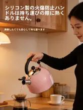 大容量304ステンレス製やかん【家庭用・ガス・電磁調理器対応】