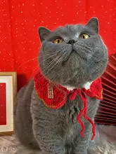 新年向けペット用手編みカラー【犬猫用・おしゃれな毛糸装飾】
