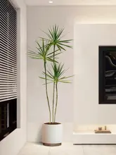 フェイク植物 リビング 部屋の装飾 大型人工植物 グリーンプラント 樹 ドラゴンブラッドツリー アガベ ラグジュアリー