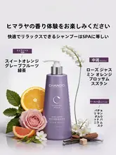 CHANDO ボリュームアップ防脱力シャンプー【髪の強さを・髪質を整える】