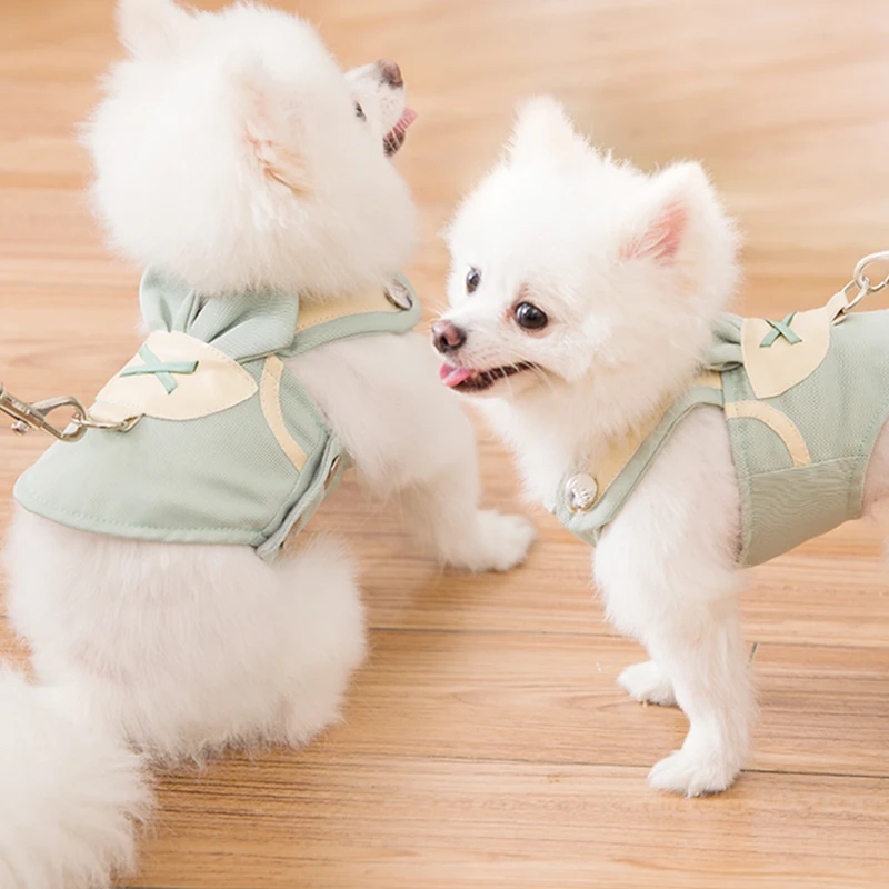 ハーネスで引っ張りを防ぐには？メッシュ通気性タイプが中小型犬に最適な理由