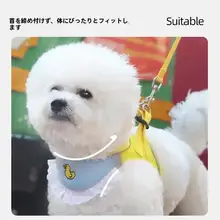 愛犬用引き紐【防脱走・口水キャッチャー付き・胸背タイプ・猫犬兼用・可愛いデザイン】