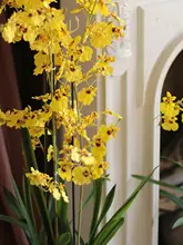 リアルな手触り！大きなジャンプランの人工観葉植物【インテリアグリーン・リビング用】