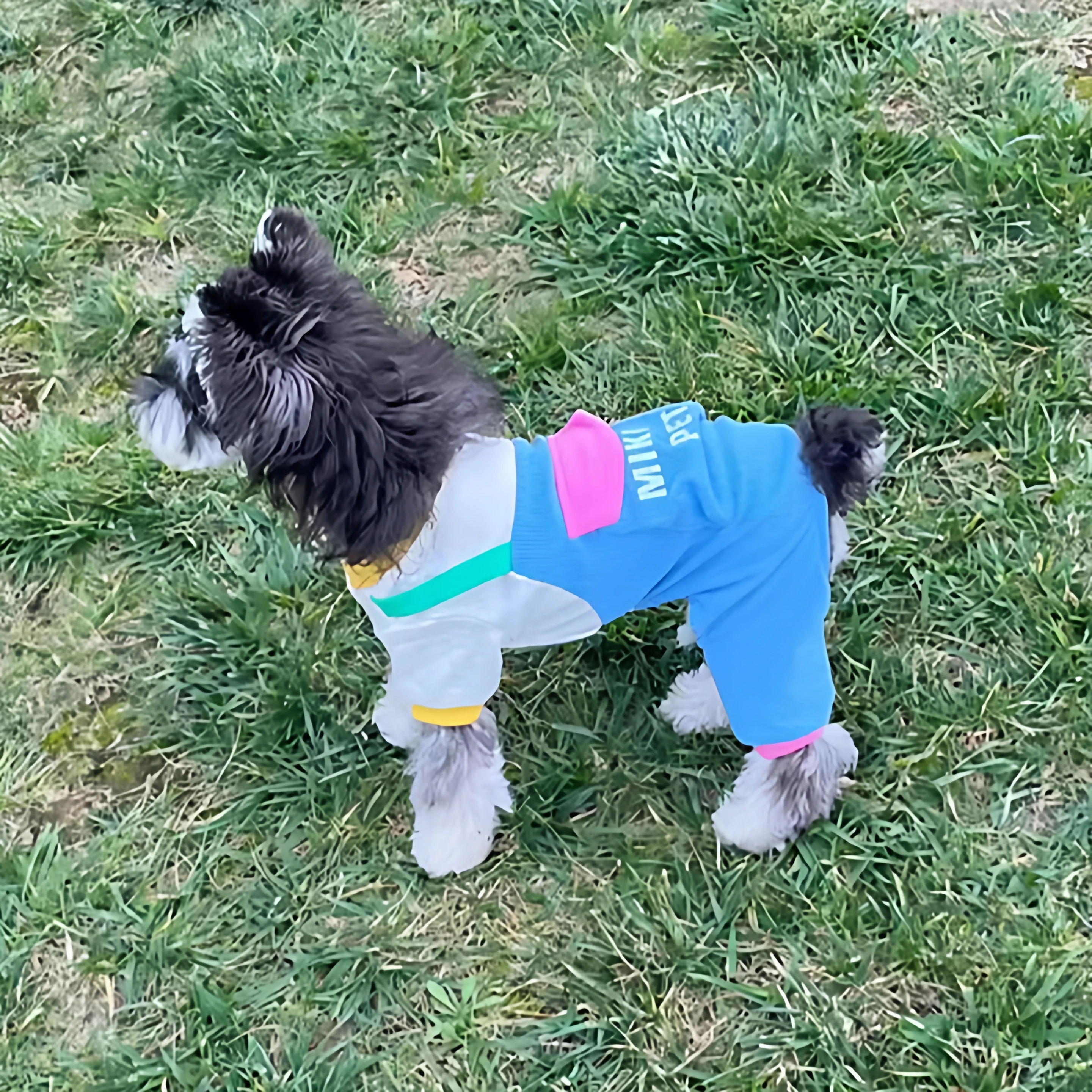 猫の冬の日常を彩る、抜けにくいサスペンダーパンツはどれがおすすめ？