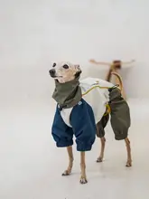 犬用 レインコート【防水・防風・軽量・四足用】