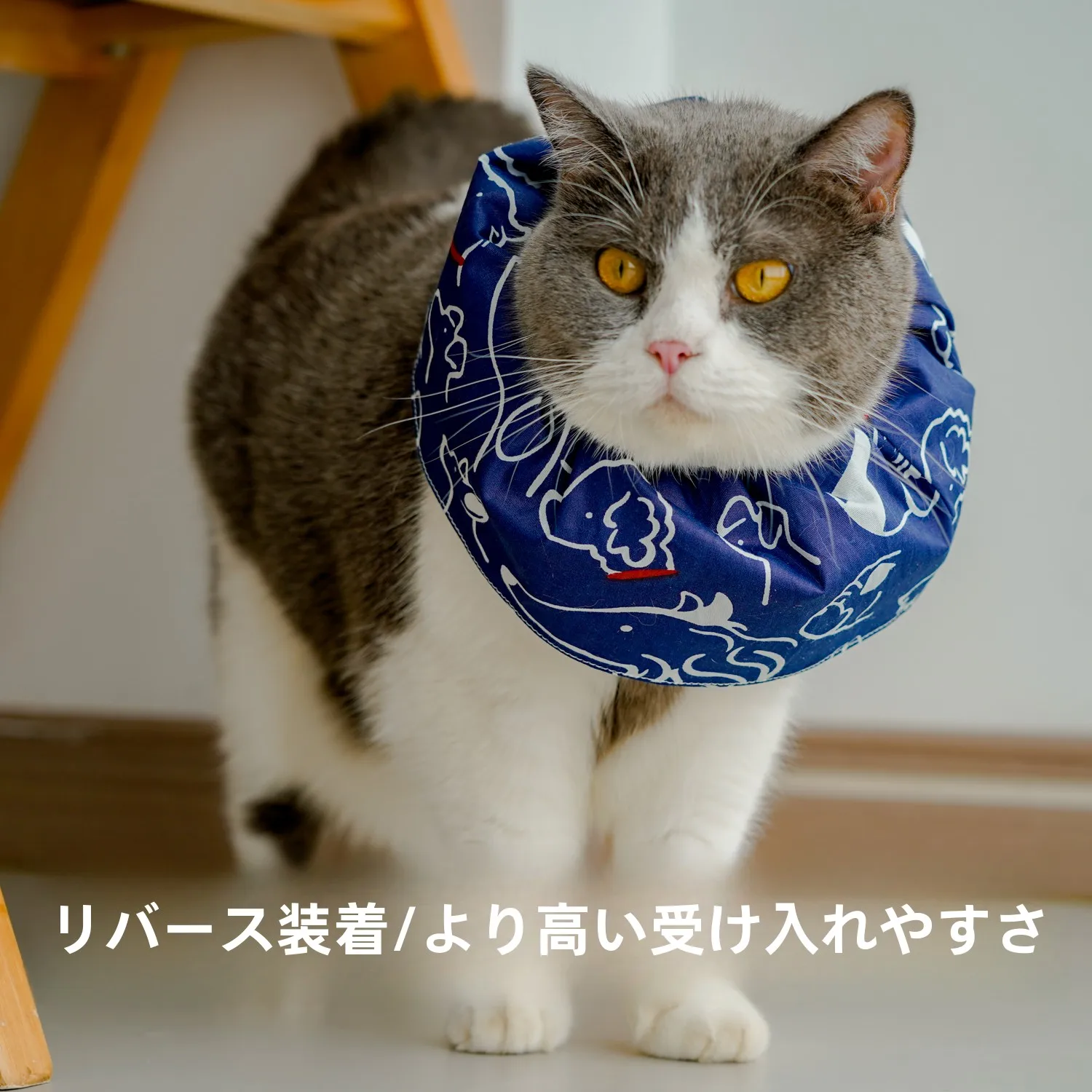 猫にかけるエリザベスカラーは、本当に必要なのか？