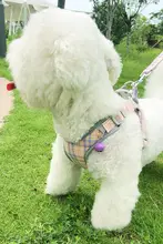 犬用ハーネス型リード【小型犬・テディ・ビション・ペット用品】