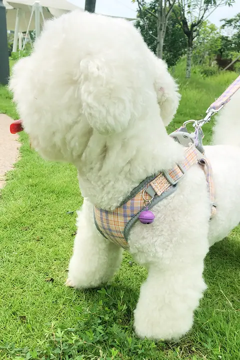 犬用ハーネス型リード【小型犬・テディ・ビション・ペット用品】