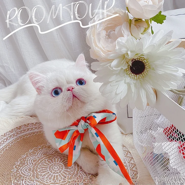 かわいいネクタイのペットアクセサリー：猫と犬用のおしゃれ撮影アクセサリー