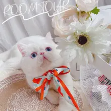 かわいいネクタイのペットアクセサリー【猫と犬用・おしゃれ撮影用】