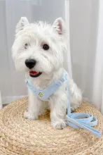 猫用・犬用ハーネスリード【逃げ防止・胸部タイプ】
