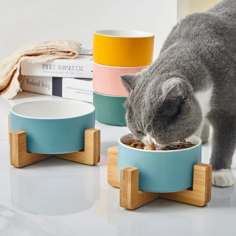 猫飼いが買ってよかったもの・悪かったもの正直に言う｜陶器フードボウルの安心感と選び方完全ガイド