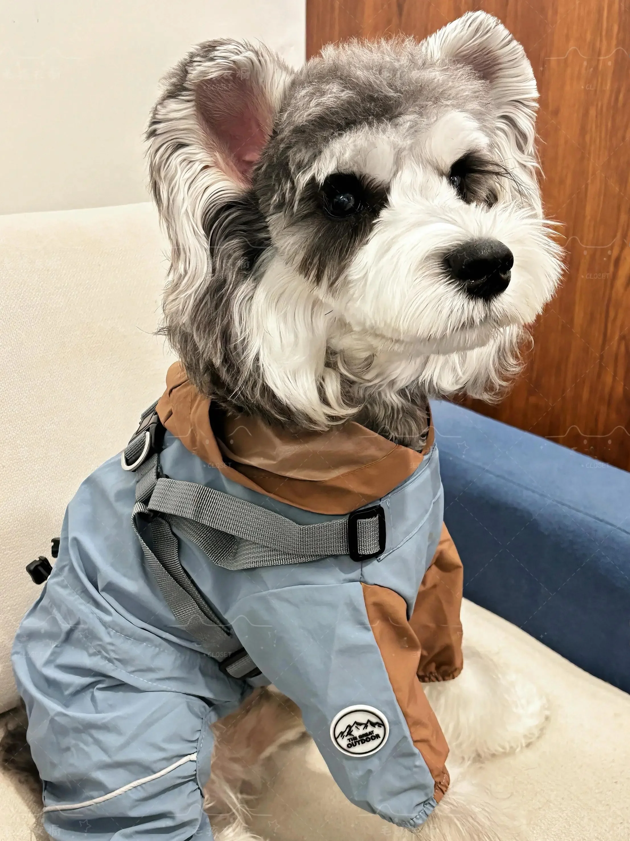 犬のお散歩グッズをコスパ良く揃える方法 - 防水防風ペットコートの定義と特性