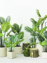 大型 観葉植物 トラベラーズバナナ モンステラ インテリア デコレーション