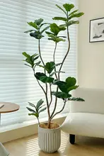 リアルな観葉植物 アダンソニア【インテリア装飾・高級感ある造花・観葉植物】