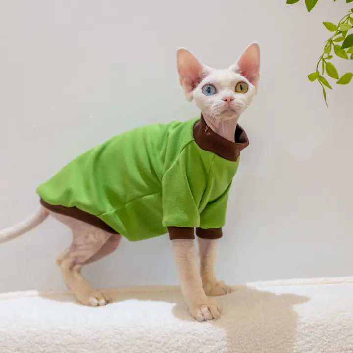 GINGERAIN コットン製 デヴォンレックス猫用Tシャツ【夏用・保温・コントラストカラー】