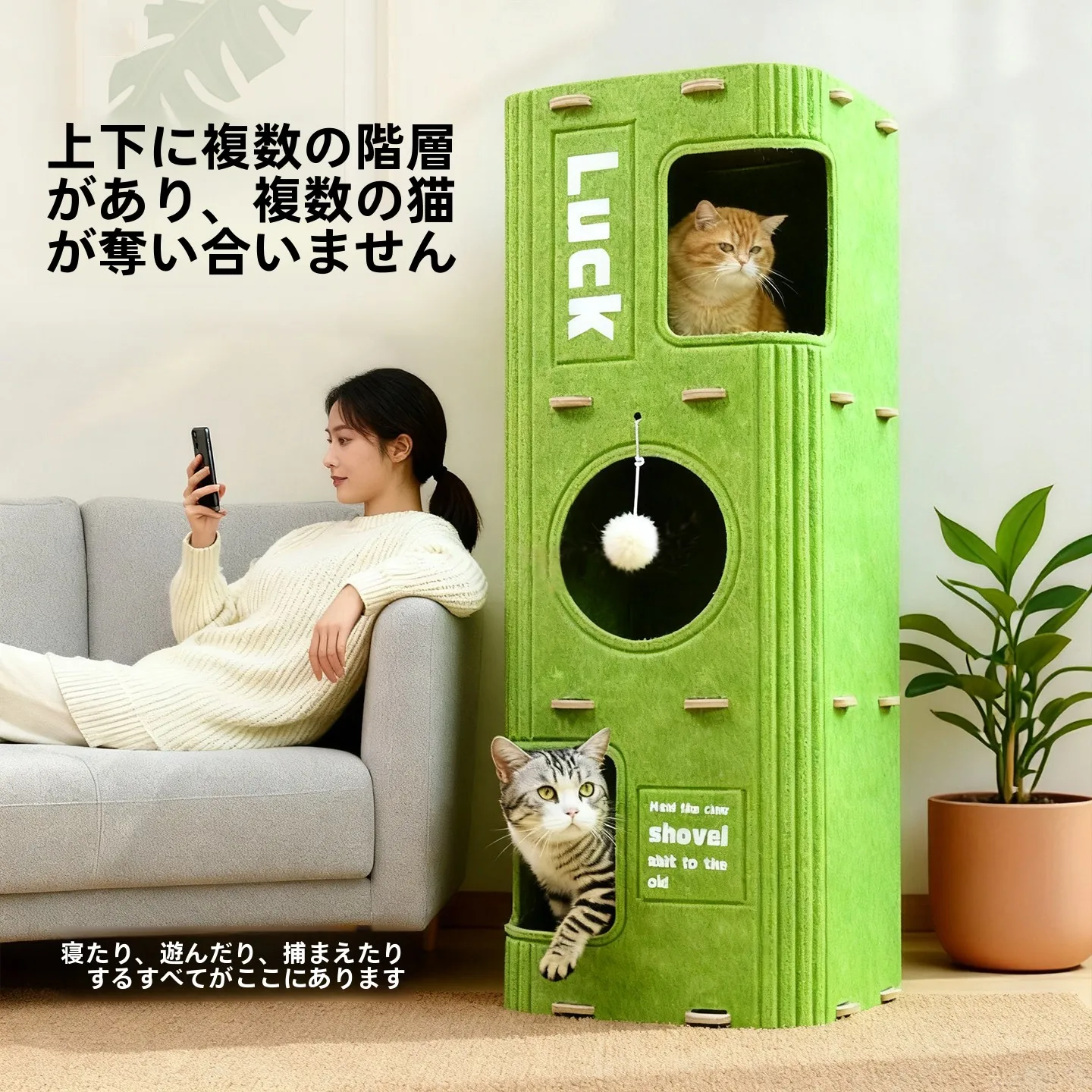 ペット猫を飼いやすいと感じる、本当の理由はどこにあるの？