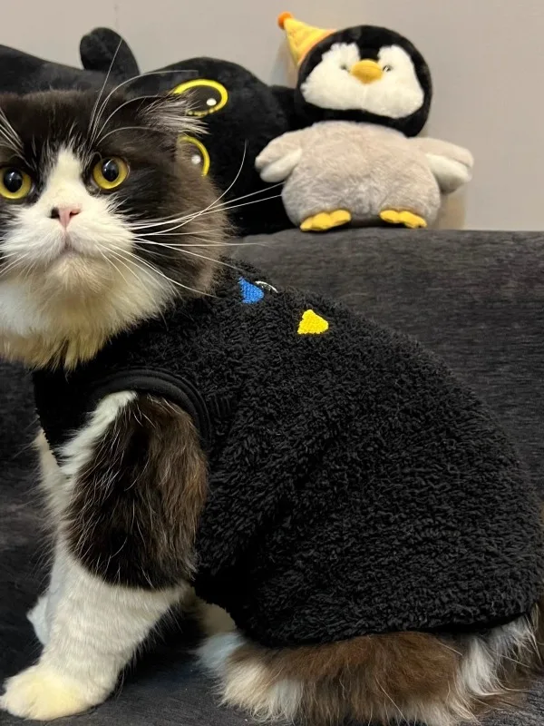 猫レディースとは？その本質と、冬の日常にどう取り入れるか