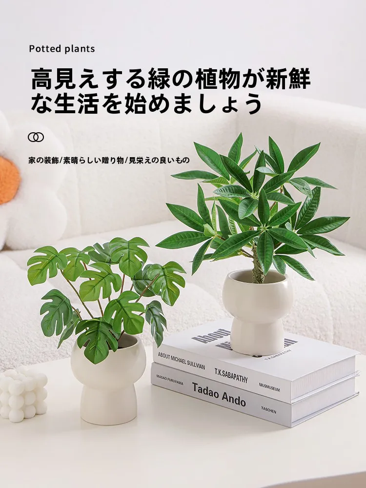 韓国インテリアを再現｜カフェ風部屋の作り方　リアル質感の植物選び完全ガイド
